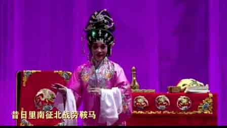 雷州戏剧雷州雷剧雷州歌全集